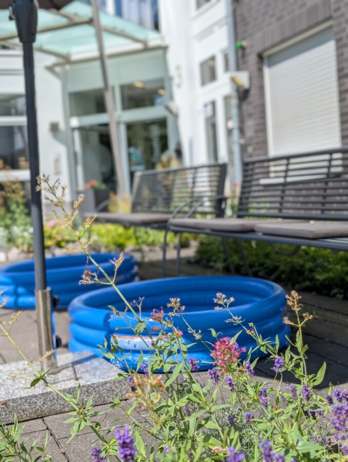 Unsere Pools bieten etwas Abkühlung
